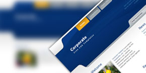 【常见问题】解决的DDOS网页端